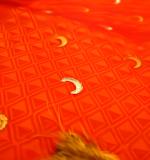 MOON Kanjivaram Silk Blend Saree  (Multicolor, Orange, Green )