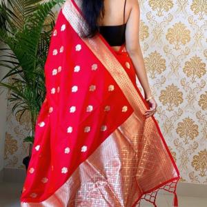 MAHARASHTRA SAREE