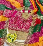 PIYU P1100 MULTI MANGO SAREE