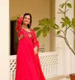 Red Embroidered Gown
