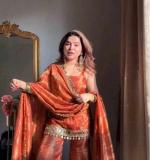 Beautiful Premium Elegance Party Wear Dress