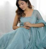 Beautiful Party Wear Gown