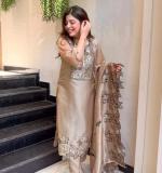 Elegant Ethnic Wear Dress