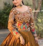 New Beautiful Occasional Wear Lehenga