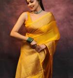 MF 2090 BEAUTIFUL BANARASI SOFT LITCHI SILK CLOTH SAREE