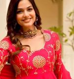 Red Embroidered Gown