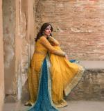Premium Elegance Designer Dress