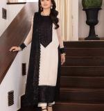 Beautiful Ethnic Wear Dress