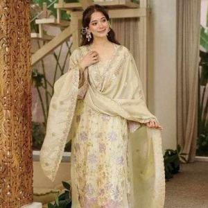 Beautiful Premium Design Dress