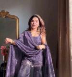 Premium Elegance Party Wear Dress