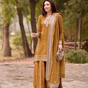 New Beautiful Party Wear Dress