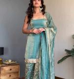 Beautiful Premium Elegance Party Wear Dress