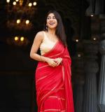 KPW 392 New Exclusive Classy Red Saree