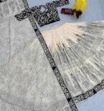 Cotton kalamkari print Lehenga