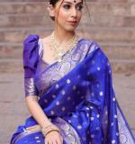 KP 7000 BEAUTIFUL RICH PALLU SAREE