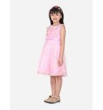 Girl's Net Embroidered Sleeveless Dress (Pink)