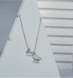 Women's Stainless Steel Imported Stanless Steel Pendent Chain (Silver Plated)