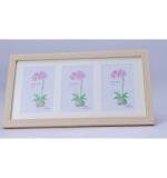 Acrylic Cactus Image Frame (Multicolor)