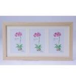 Acrylic Cactus Image Frame (Multicolor)